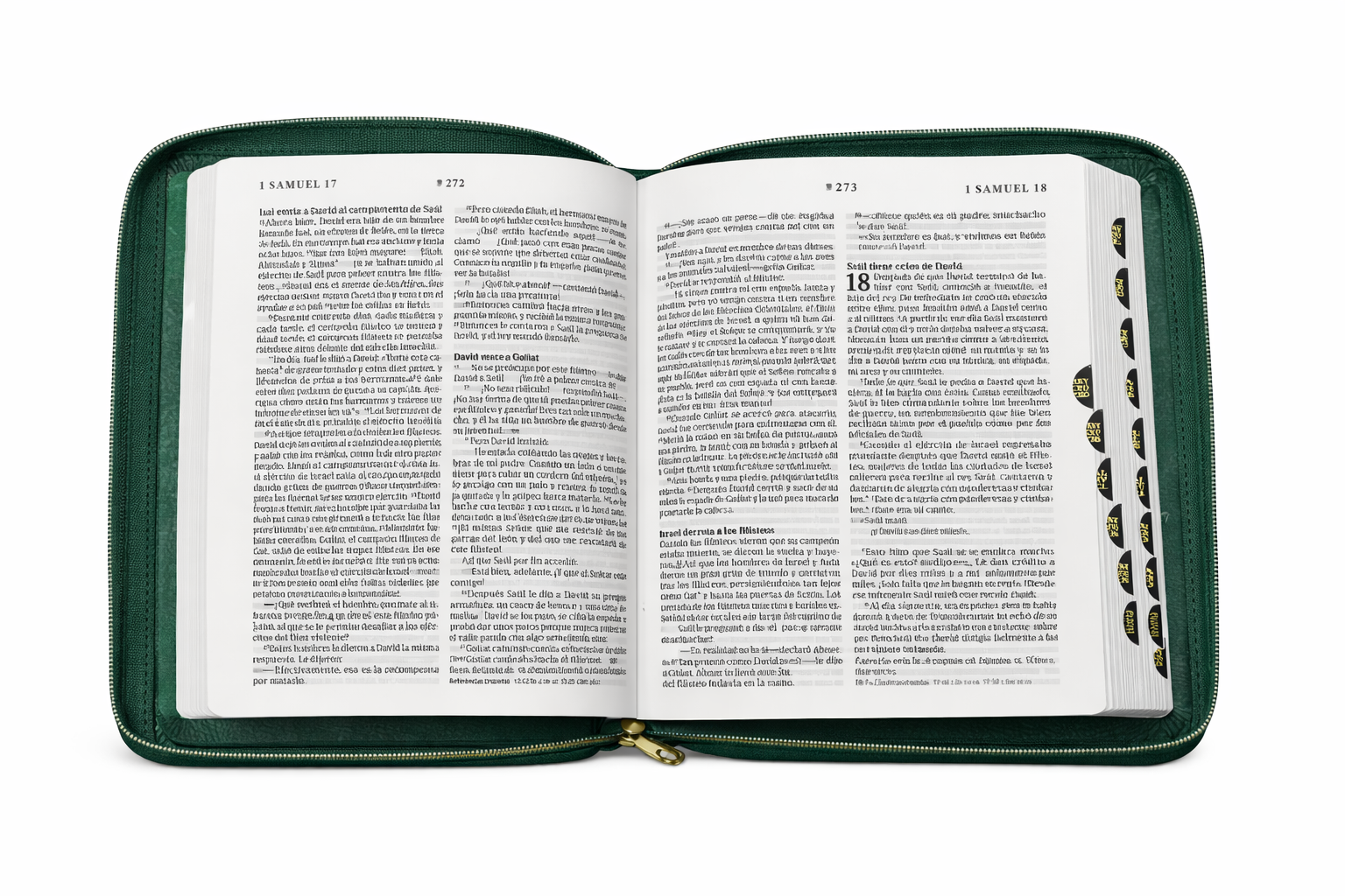 Green Geometric Embossed Journal ( Spanish )